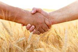 На Сельском сходе обсудят успешные практики развития сельскохозяйственной кооперации в России и Германии 