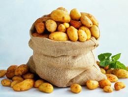 26 сентября на областном рынке пройдет ярмарка «Праздник картошки» 