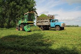 В хозяйствах Томской области продолжается заготовка кормов