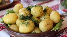 В субботу пройдет традиционный «Праздник картошки»