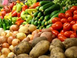 На ярмарке «Урожай-2018» реализовано 93 тонны овощей
