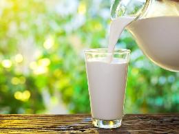 Минсельхоз России: объем реализации молока в сельхозорганизациях вырос на 4,9%