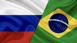 Россия и Бразилия обсудят начало поставок птицы