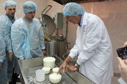Сыровары из Нидерландов обучили томских фермеров изготовлению сыра «Гауда»