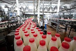 Правительство России упростило маркировку молочной продукции