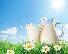 На 21 ноября средняя цена реализации сырого молока составила 22 566,1 руб/т