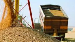В Томской области обмолочено свыше 56,2% зерновых