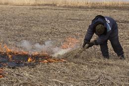 В Томской области активизирована работа по предотвращению несанкционированных сельхозпалов 