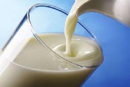Законодательно изменено наименование субсидии на килограмм реализованного и (или) отгруженного на собственную переработку молока
