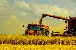 Сбор зерна в РФ приблизился к 100 млн тонн 