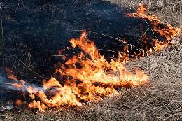 Губернатор Томской области Сергей Жвачкин подписал постановление о начале пожароопасного сезона на территории региона