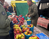 ba59954f-a875-41aa-90d4-7bbb68472a1f.jpg