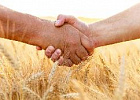 Конкурсный отбор на гранты для сельхозкооперативов продлен до 6 ноября