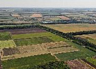 В Приамурье площадь посевов планируют увеличить до 1,2 млн га