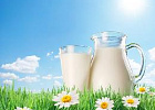 На 21 ноября средняя цена реализации сырого молока составила 22 566,1 руб/т