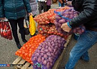 На «Празднике картошки – 2017» реализовано более 121 тонны овощей 