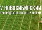 Делегация Томской области работает на Новосибирском агропродовольственном форуме