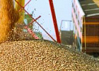Минсельхоз планирует использовать механизм экспортной квоты на зерно в дальнейшем