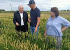 В Томской области будет работать президент «Национального агрохимического союза»