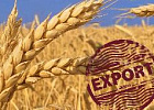 РЗС: в текущем сезоне Россия экспортировала более 40 млн тонн зерна