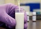 Новые правила ветеринарной экспертизы молока: что ждет производителей в марте?