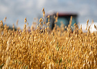 Производителям зерна Томской области доведен весь объем господдержки