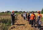 Томские аграрии начали осмотр демонстрационных посевов сельскохозяйственных культур 