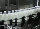 Производство молока в сельхозорганизациях увеличилось на 7%